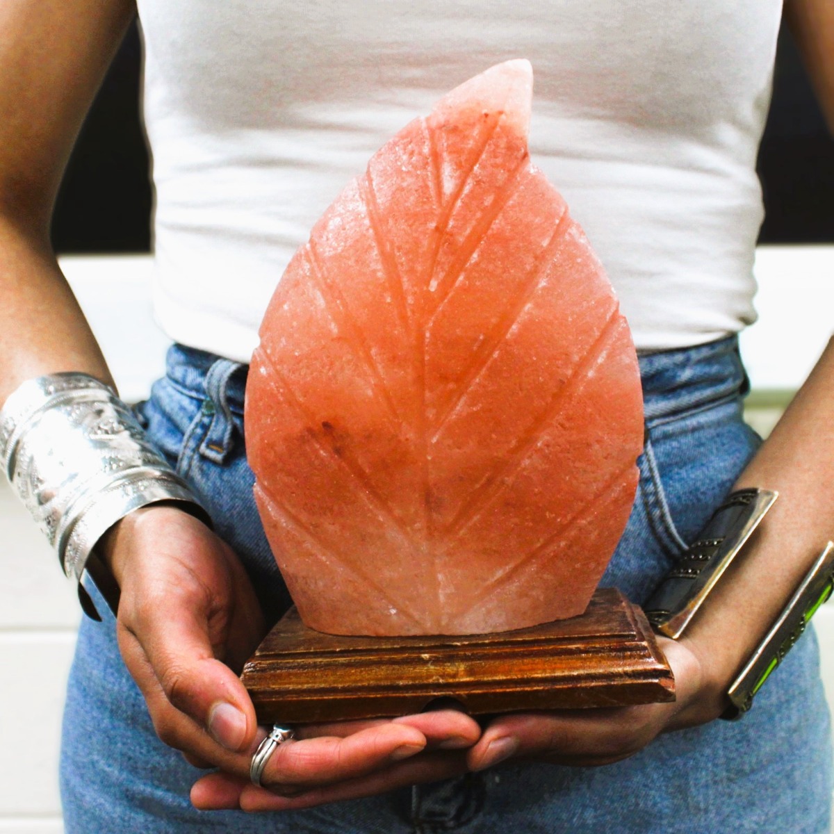 Shape Salt Lamp - Fern