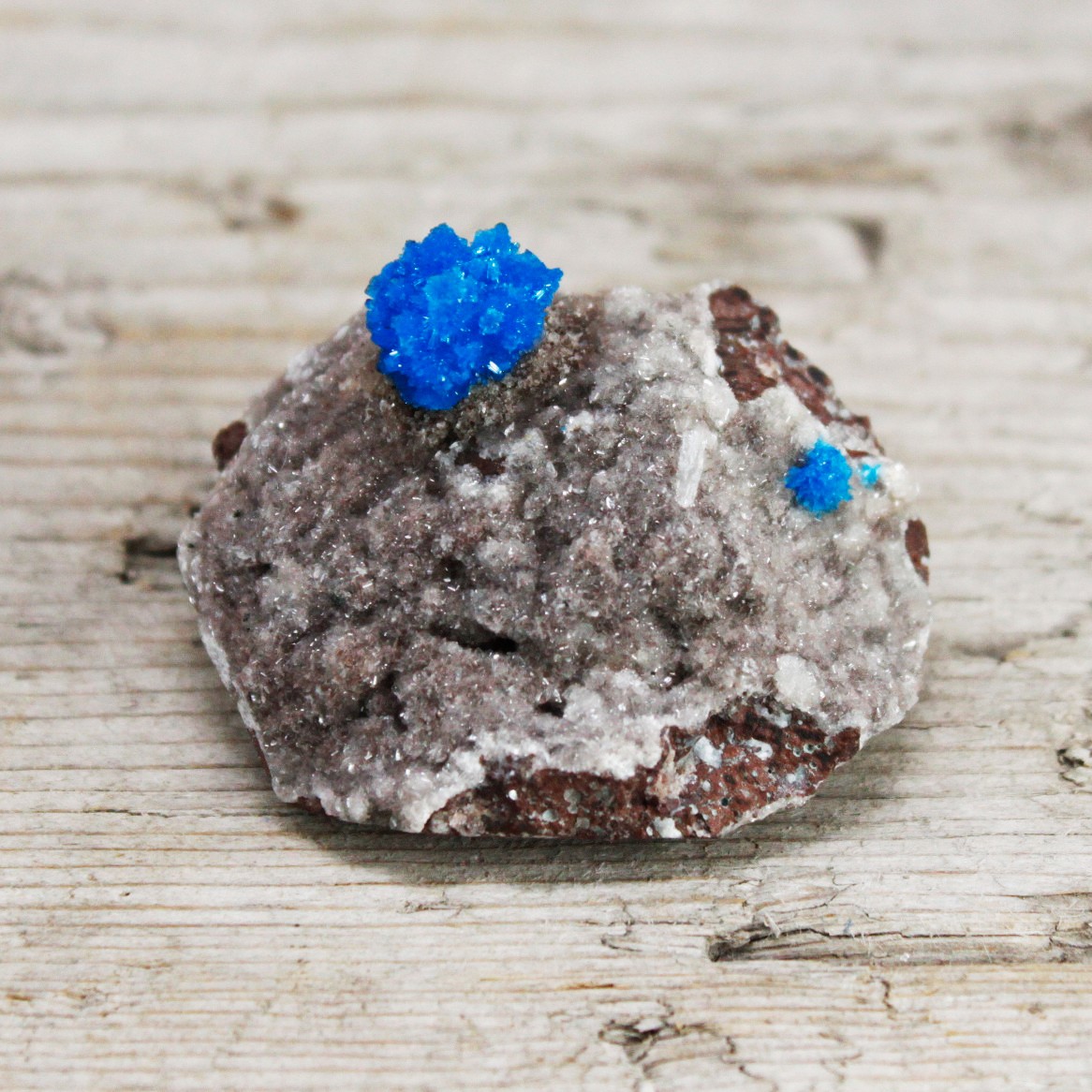 Cavansite with Metrics 30-40mm